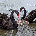  Sergey,   -  23  2021    