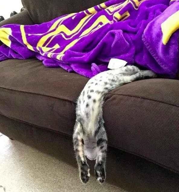      - 2
