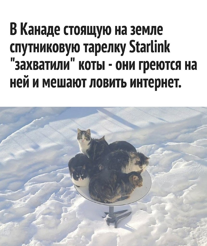  )