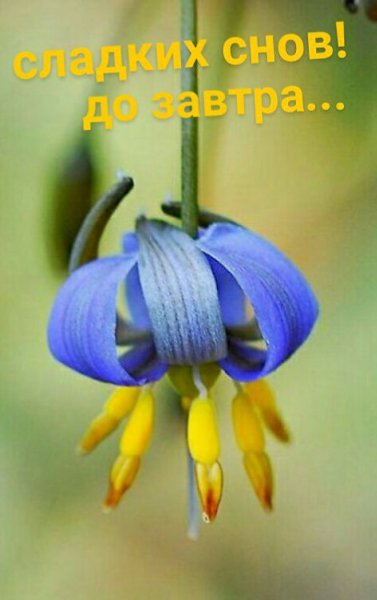   ,    . - 27  2021  21:42 - 9