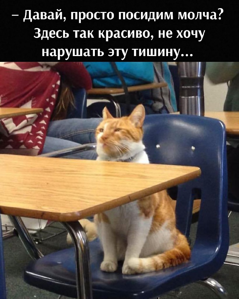       - 15  2021  19:58