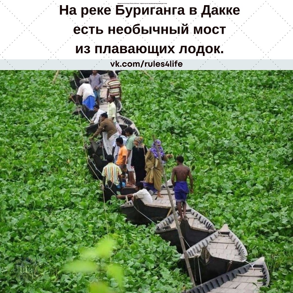        ,    ,  ...