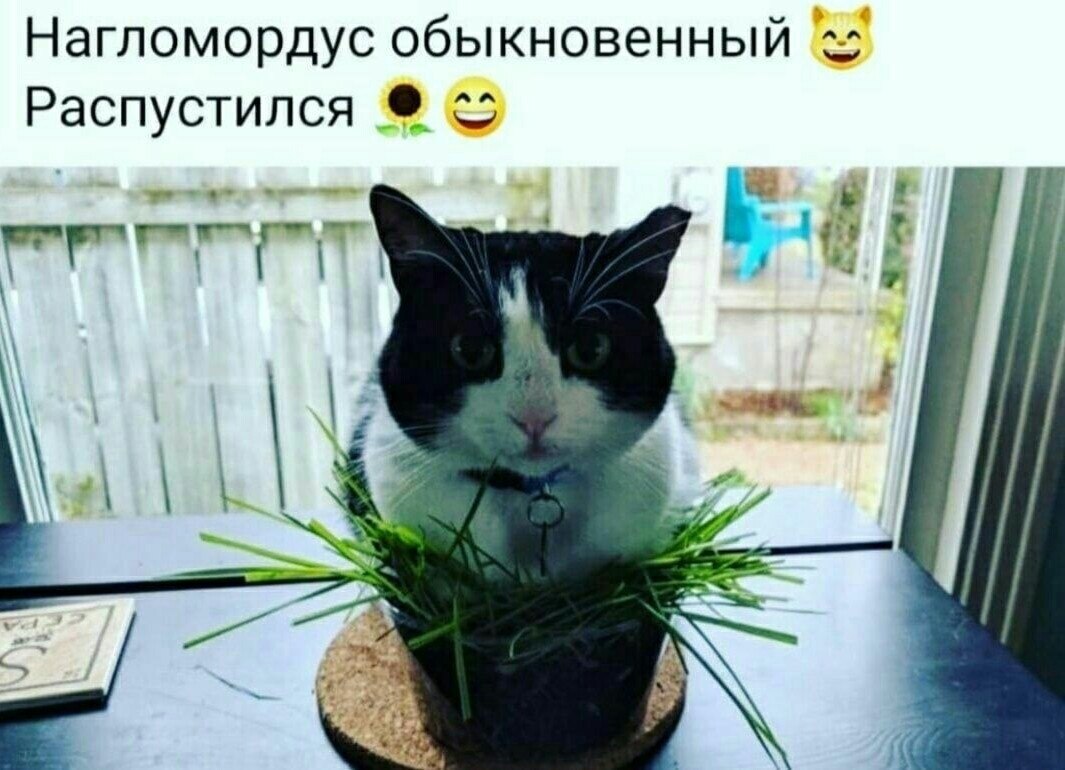 !       ! - 2