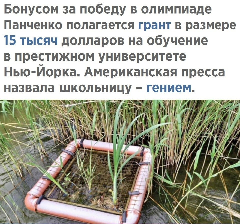    - 11  2021  08:24 - 3