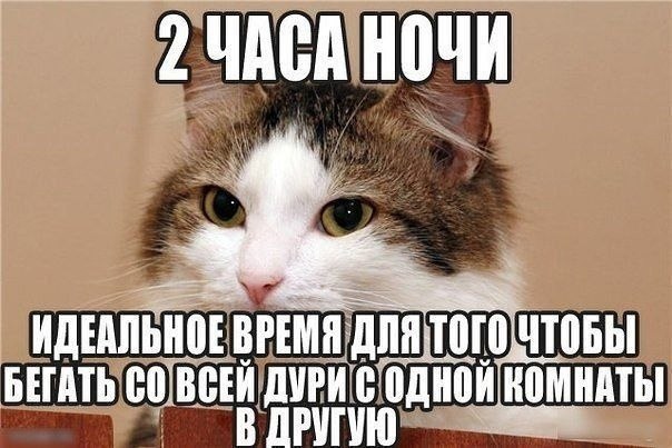    - 15  2021  20:26