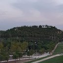  **Milena*****, , 45  -  31  2021    