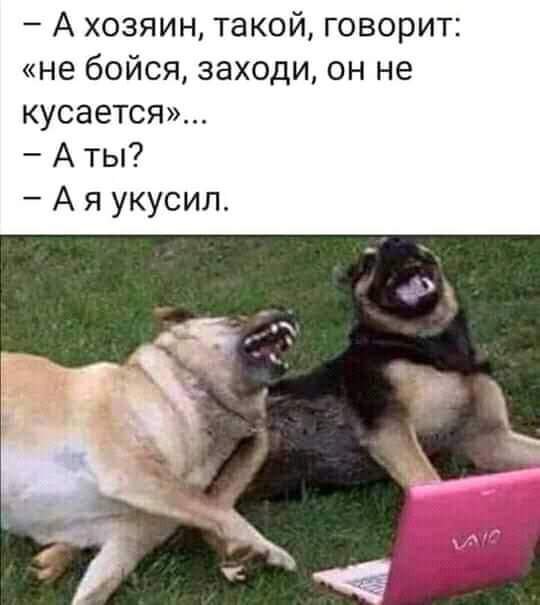  - 15  2021  19:06
