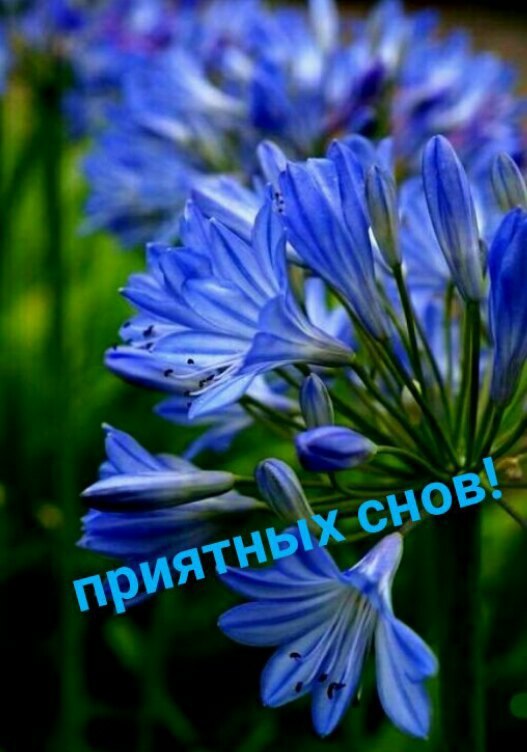   ,    . - 18  2021  22:33 - 8