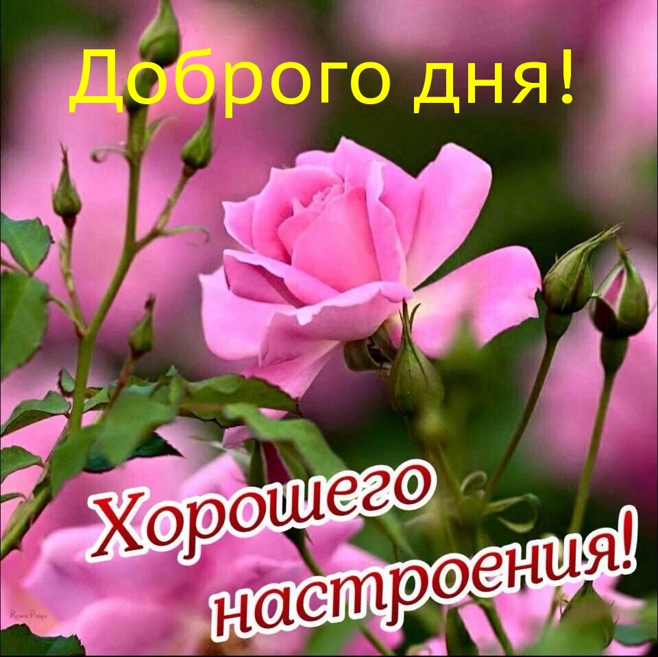   ,    . - 5  2022  13:00