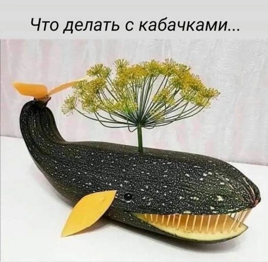   - 3  2021  18:04