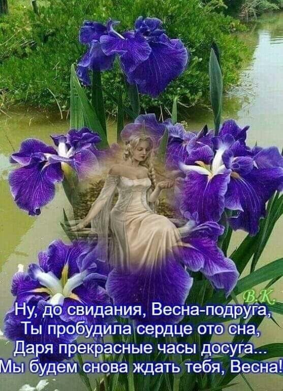   ,    . - 31  2021  16:39 - 2