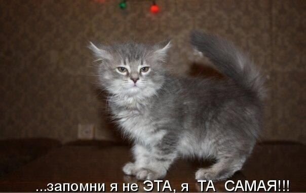    - 19  2021  20:41