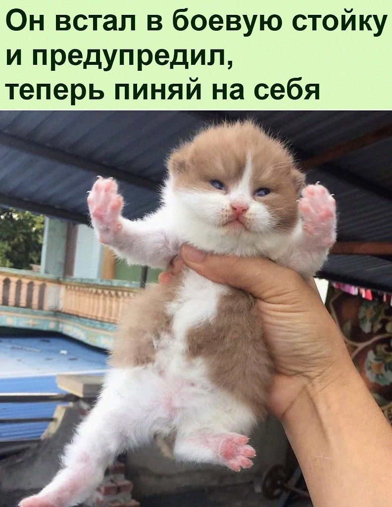   :D - 8  2021  08:27