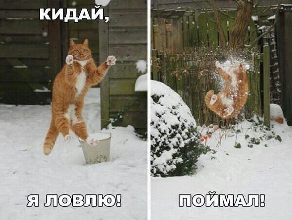    - 31  2021  12:37