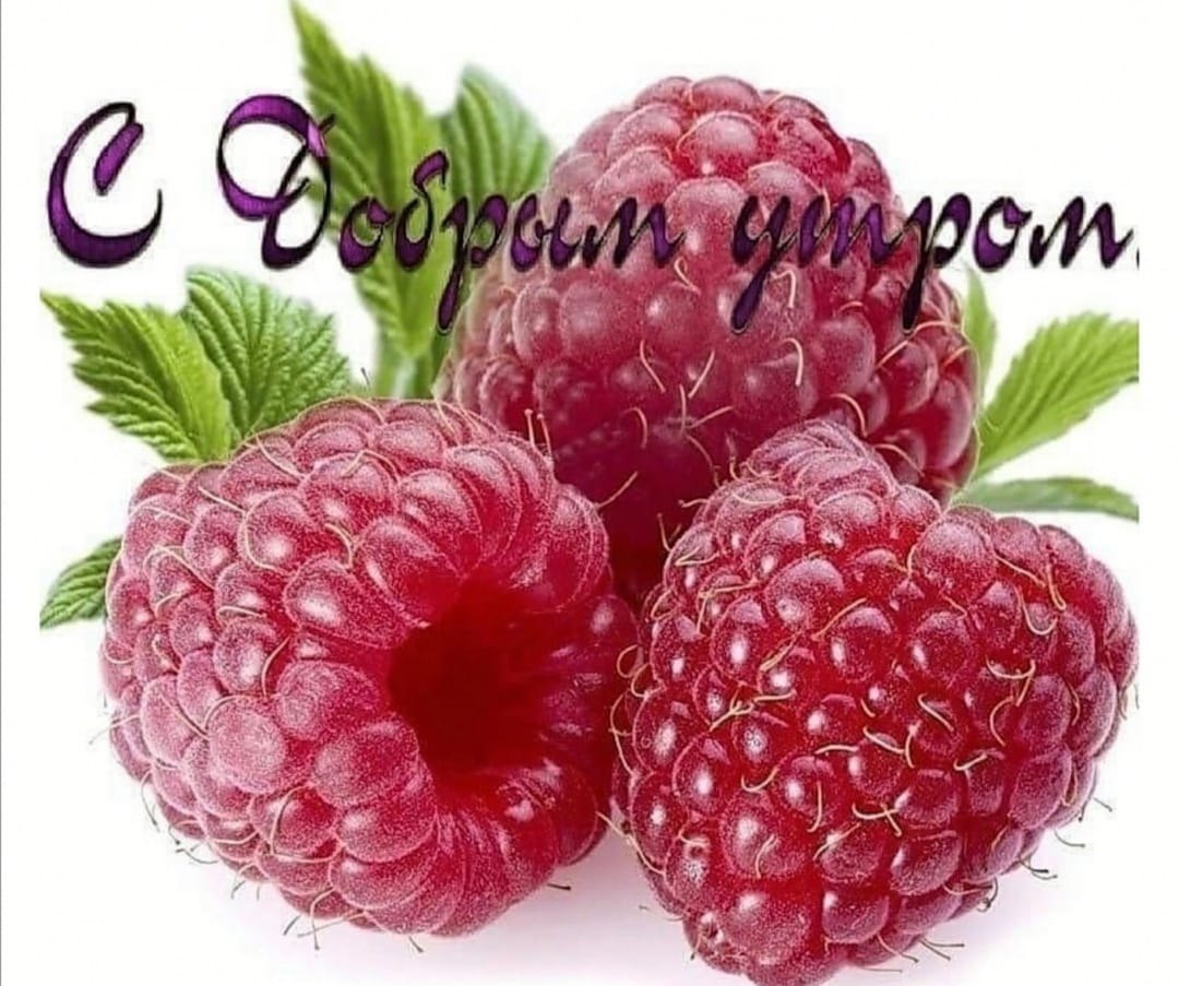 ***Victoria Viktorovna*** - 21 �������� 2021 � 04:25