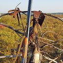 ���� ������, �����������, 52 ���� - ��������� 9 �������� 2021 � ������ ���� ����������