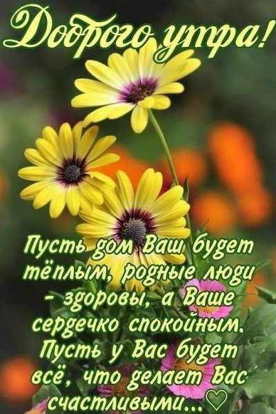   ! - 13  2021  10:01
