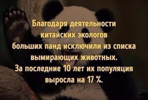7,y.y! - 4