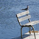 ���� � ���� ���� ��������� ������������� ������. ��� ���������� ������ �� ����������� ��������� ����� � �� ��� ������� �����. � ������ ��� �������� �� ����� �������&hellip; �� ������� ������