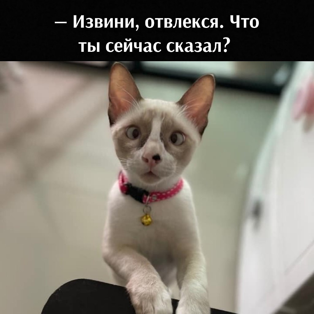       - 26  2021  18:00 - 2