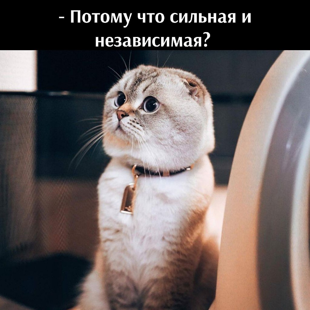       - 24  2021  22:42 - 3
