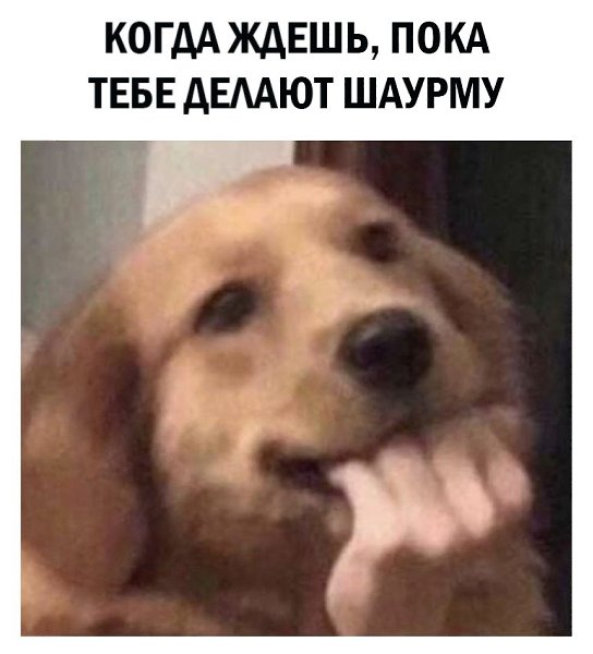 �� ���������� ���� ר! - 7 ������ 2021 � 13:28