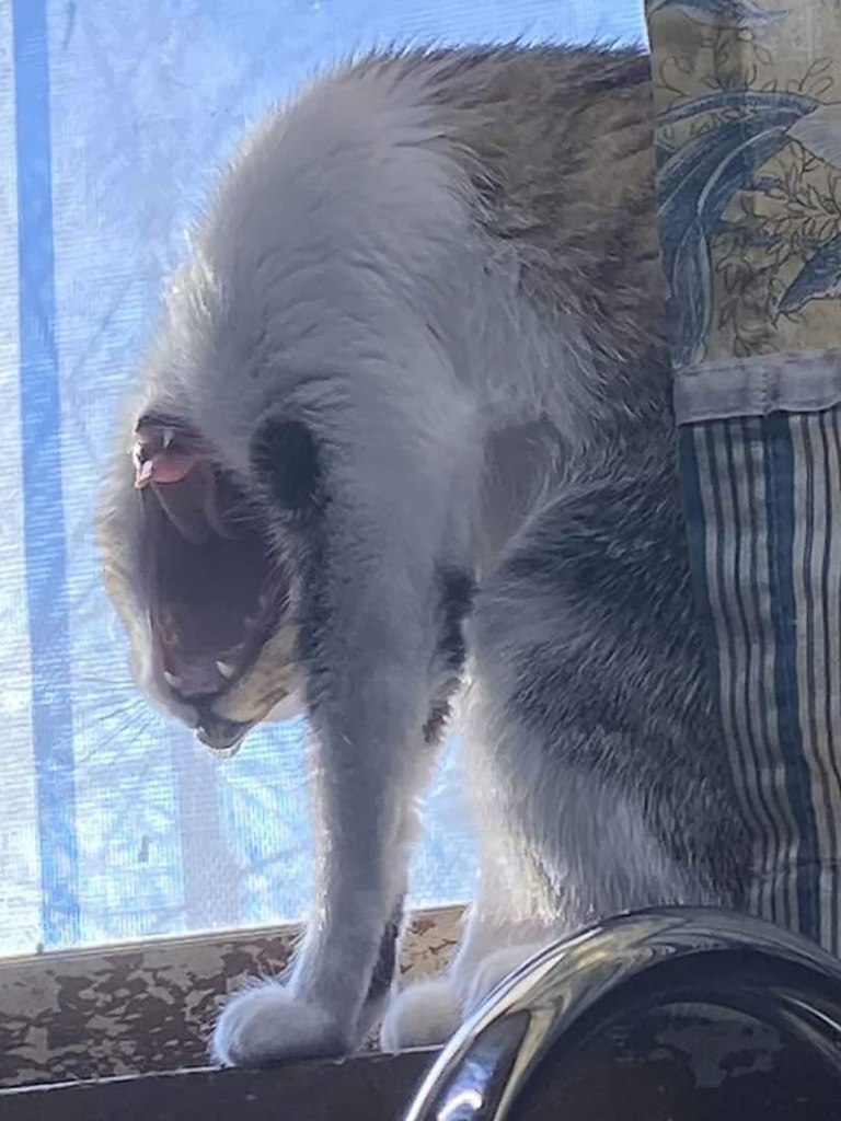  -    ? - 2