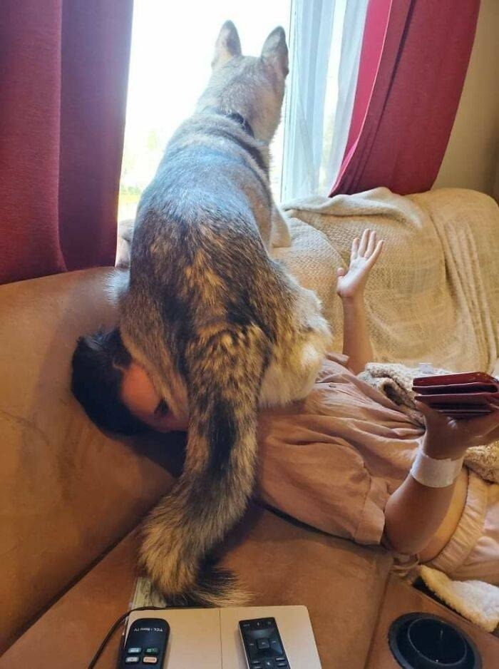 ,     