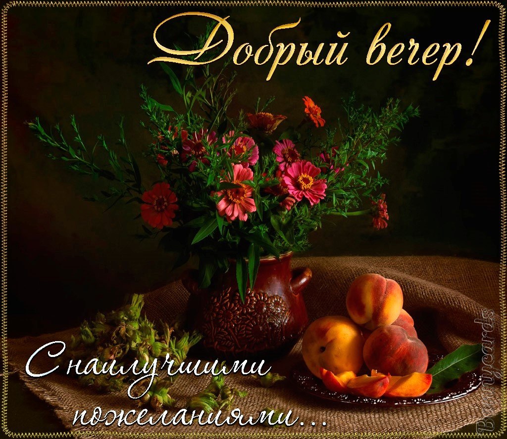   ,    . - 25  2021  18:56
