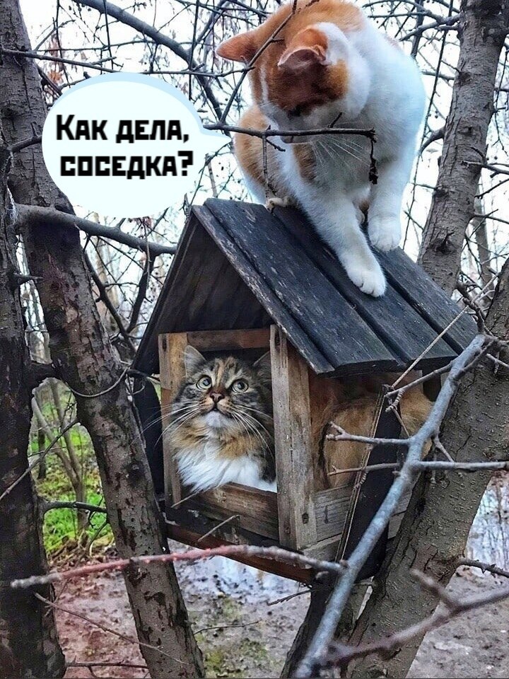       - 14  2021  17:24