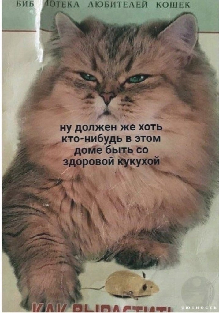  ,       ! - 2