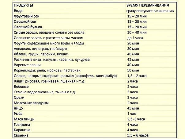 ВРЕМЯ ПЕРЕВАРИВАНИЯ ПИЩИ В ЖЕЛУДКЕ ЧЕЛОВЕКА Для того чтобы быть здоровым и долго