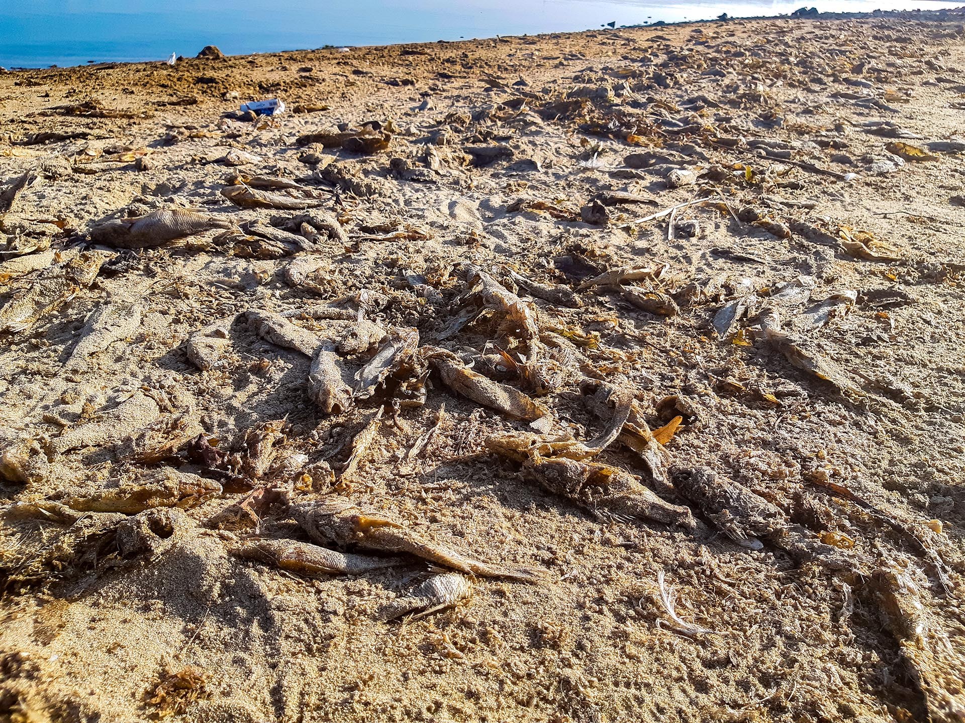 ������� ����� ����� ����������� �� �������. ��� ����-�� �������. ������, ��������� �������� ���� ...