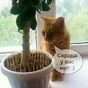 ���� �����, ����� - ��������� 15 ������� 2021 � ������ ������ ��������