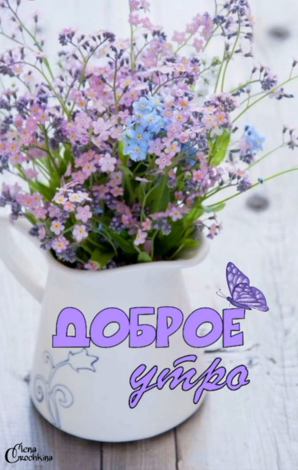 ***Victoria Viktorovna*** - 7  2021  03:51