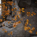 ���� �����, ���������, 67 ��� - ��������� 17 ������� 2021 � ������ ������ �� �������� �������.�