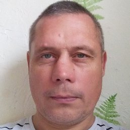 W, ������, 51 ���