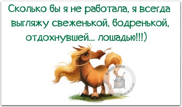 ������ ����� - 30 ����� 2021 � 19:10