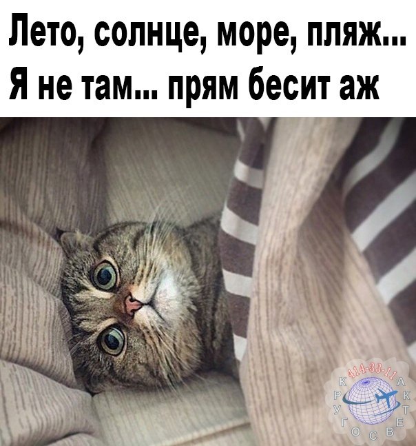 ��������� - 12 ������� 2021 � 12:11