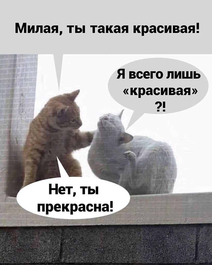  - 6  2021  07:27