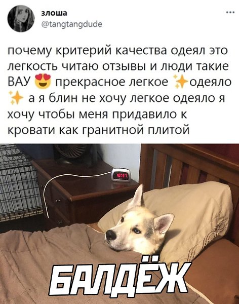    ר! - 8  2021  19:02