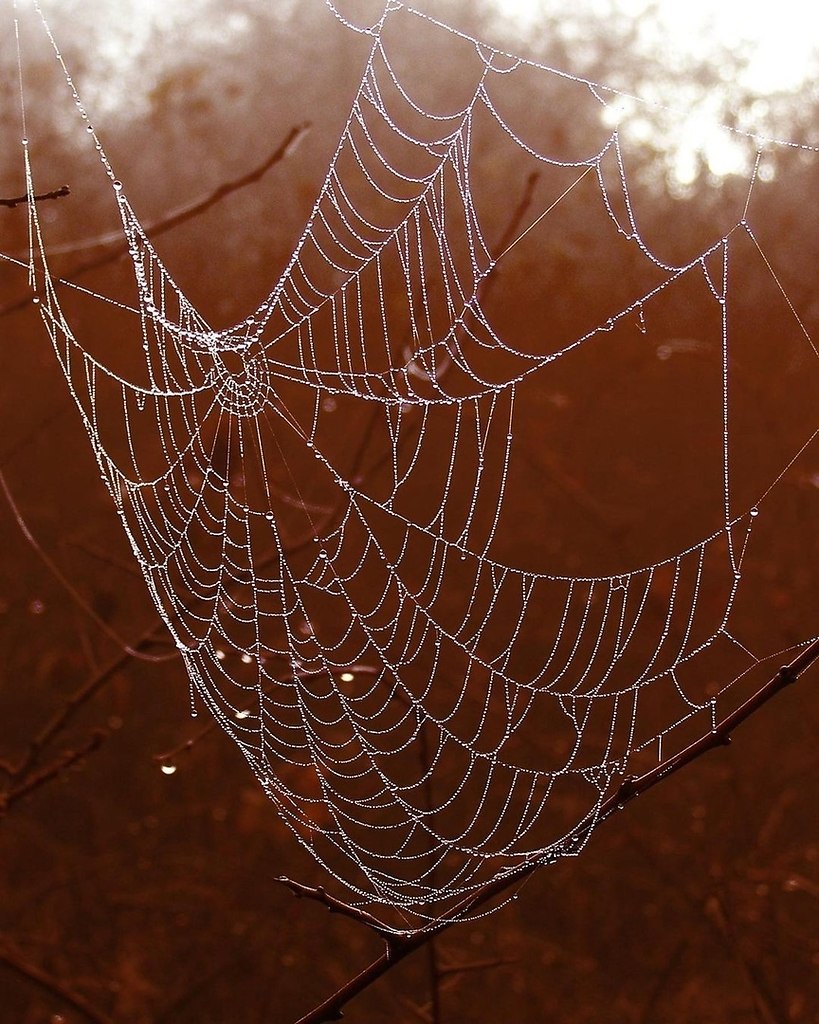 Mp o.  H a6 c cep.  ?  oe  pa - 2