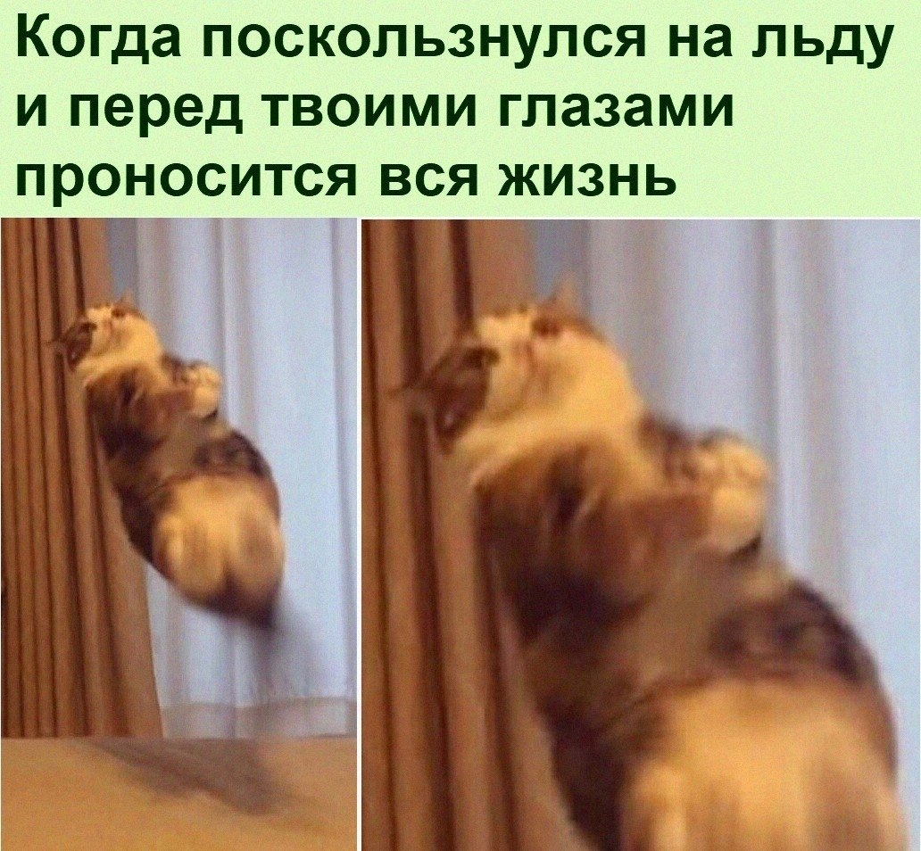   :D - 19  2022  18:45