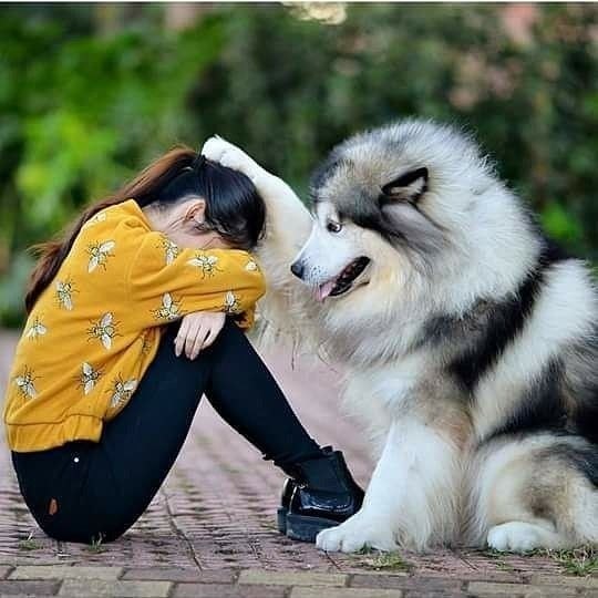  !