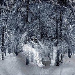 ������, ������, 56 ���