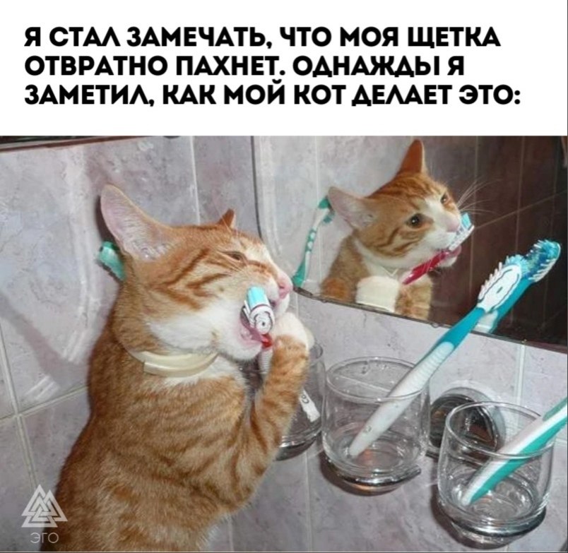      ?!
