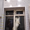 ���� ����, ������, 67 ��� - ��������� 30 ������� 2021 � ������ ���� ����������