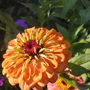 ���� �����, �������, 47 ��� - ��������� 1 ������� 2021 � ������ ���� ����������