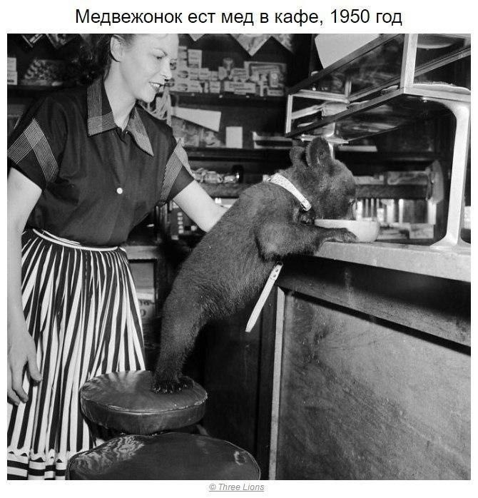 oopa    -       ! - 3