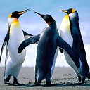 ���� Nik, ����, 58 ��� - ��������� 28 ������ 2021 � ������ ���� ����������